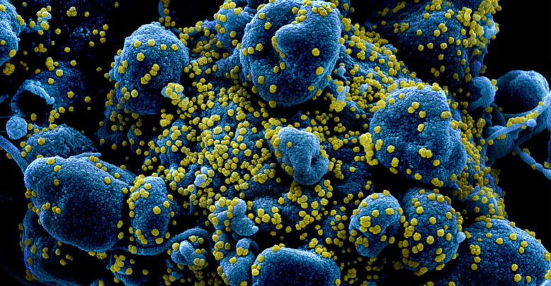 Rencontre Coronavirus : Les analystes sont mortels