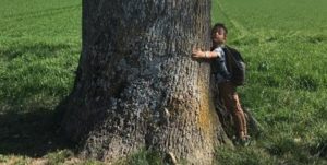 photo enfant couverte par un arbre 00