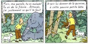 Tintin bande dessinee
