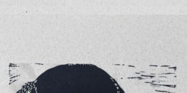 le pari du furet couverture -reducida