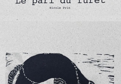 le pari du furet couverture -reducida